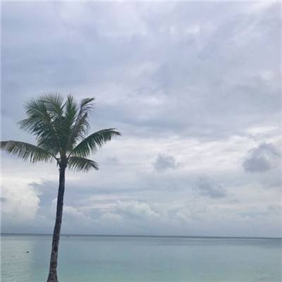 回忆中的食堂故事汉化版下载